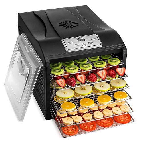 Inside Best Food Dehydrator are some nutritious fruits